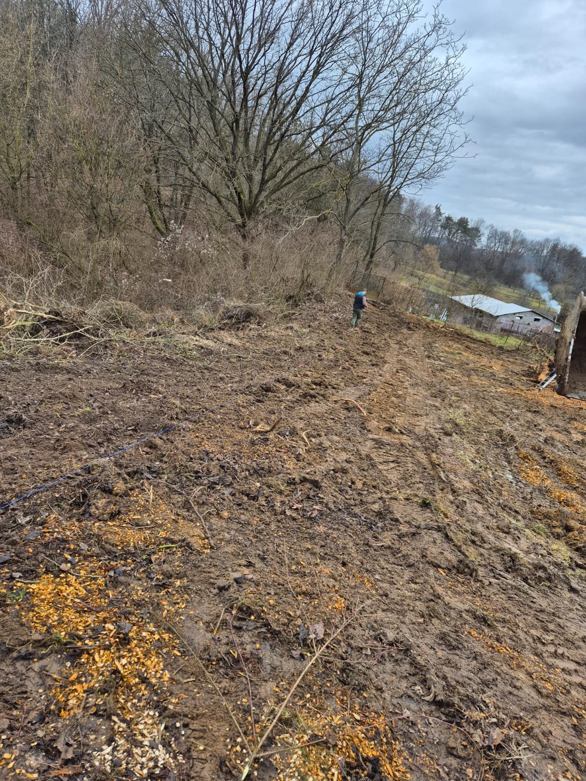 Gallery Masonry Image